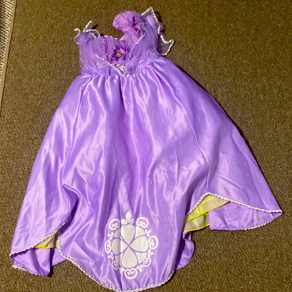 Girls Rapunzel costume size 5/6